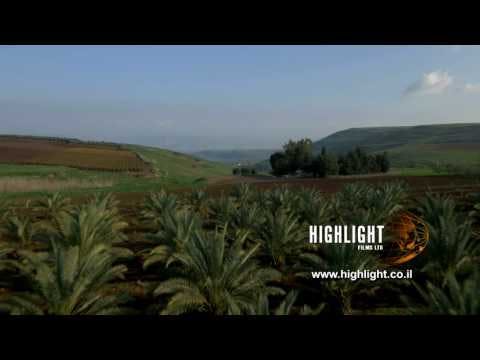 DN4K 027 G 4K Israel stock footage: drone aerial footage of fields near Sea of Galilee: date palms